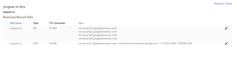 Google Domain DNS NameServers