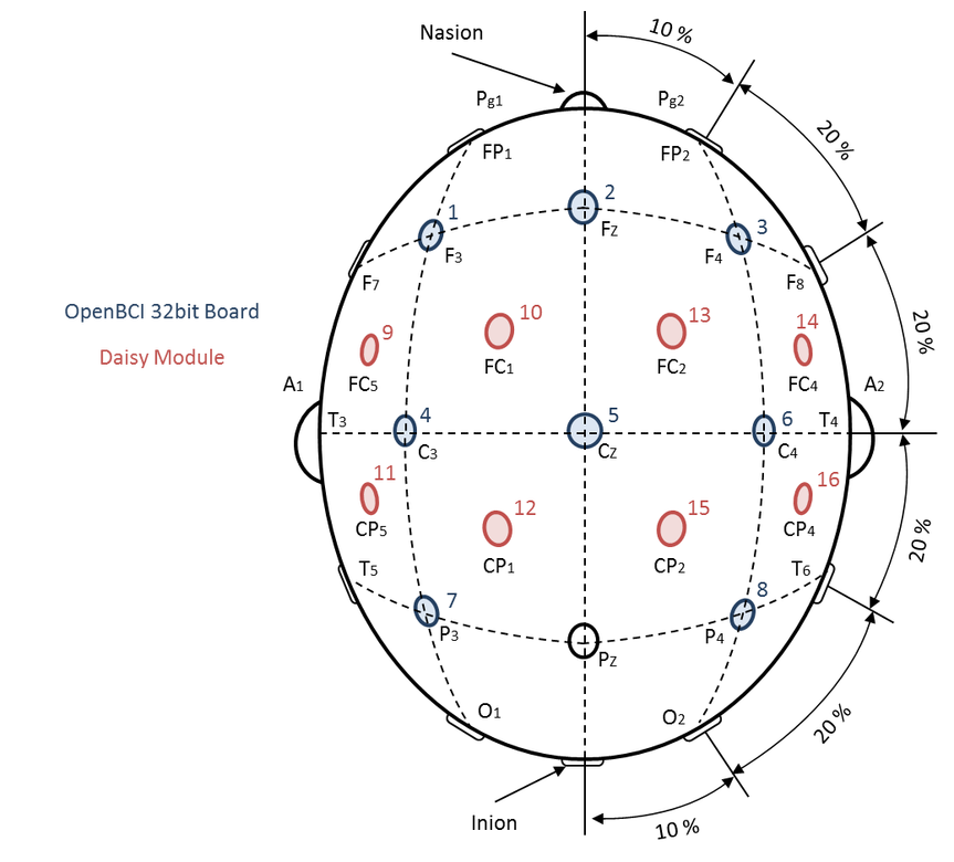 10-20 System Electrode Placement Graph